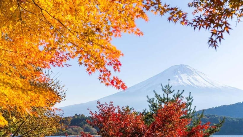 From Tokyo: Private Mt. Fuji and Hakone Tour by Car - Hakone Shrine and the Heiwa no Torii