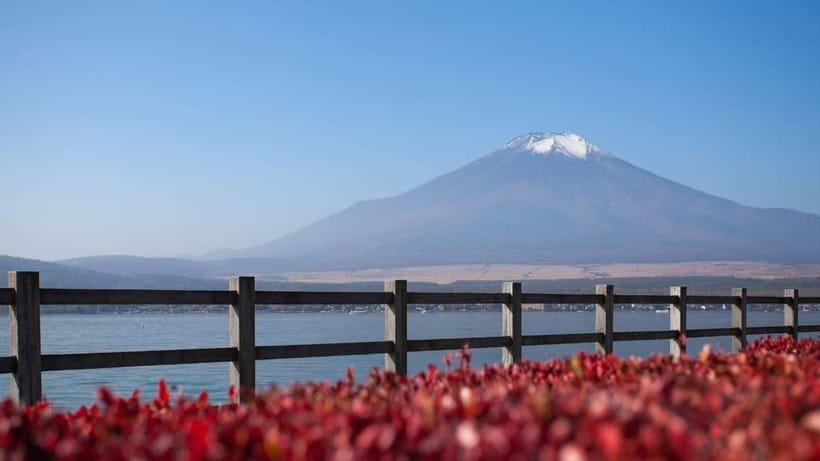 From Tokyo: Private Mt. Fuji and Hakone Tour by Car - The Hakone Open-Air Museum and its mountain setting
