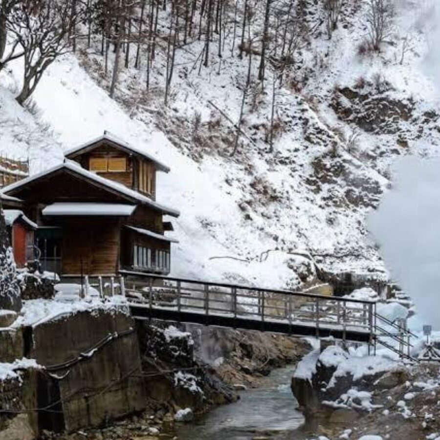 From Tokyo: Private Tour Snow Monkey Park & Zenko-ji Temple - Obuse brings apples, art, and a small-town finish