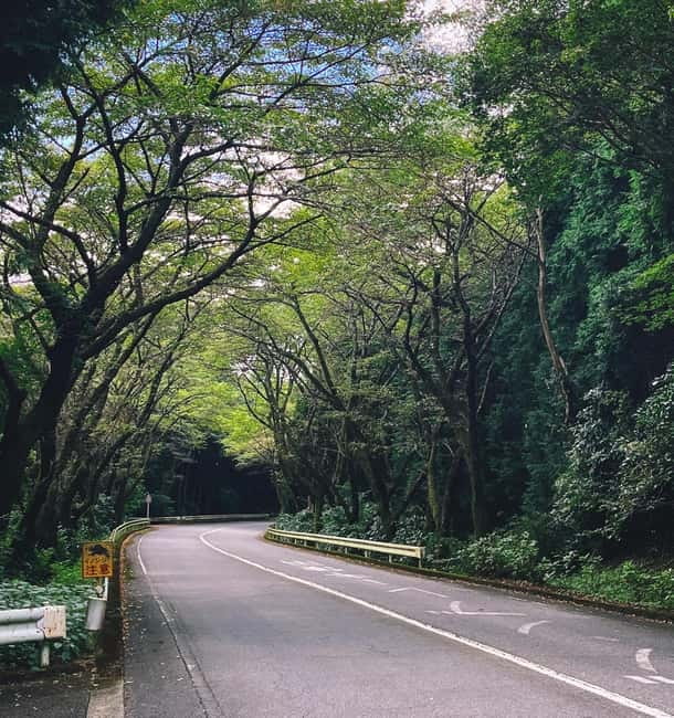 From Tokyo: Private Tour to Fuji/Hakone - Onsen, Art, Nature - Why this private Hakone trip works well from Tokyo