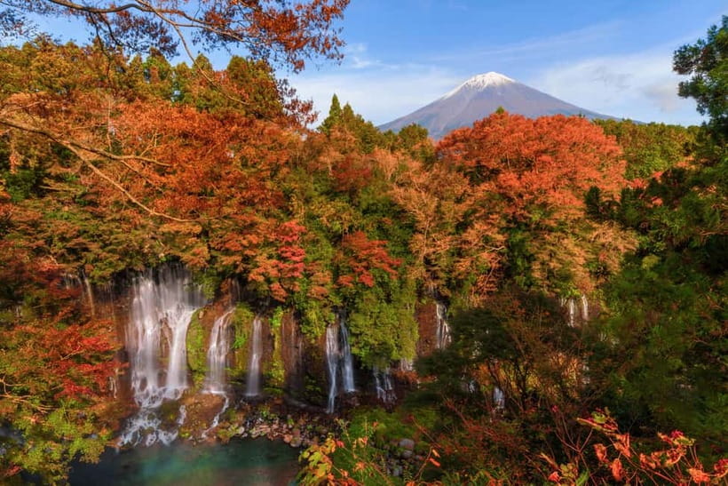 From Tokyo: Private Tour to Fuji/Hakone - Onsen, Art, Nature - Choosing between the two Hakone art museums