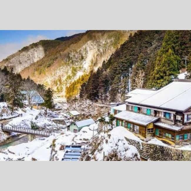 From Tokyo: Snow Monkey Park and Miso Production Day Tour - What the price leaves out