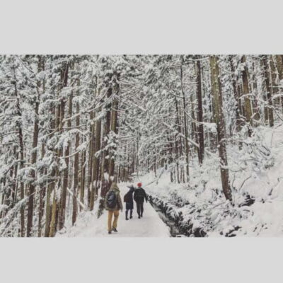 Snow Monkey Park and Miso Production Day Tour
