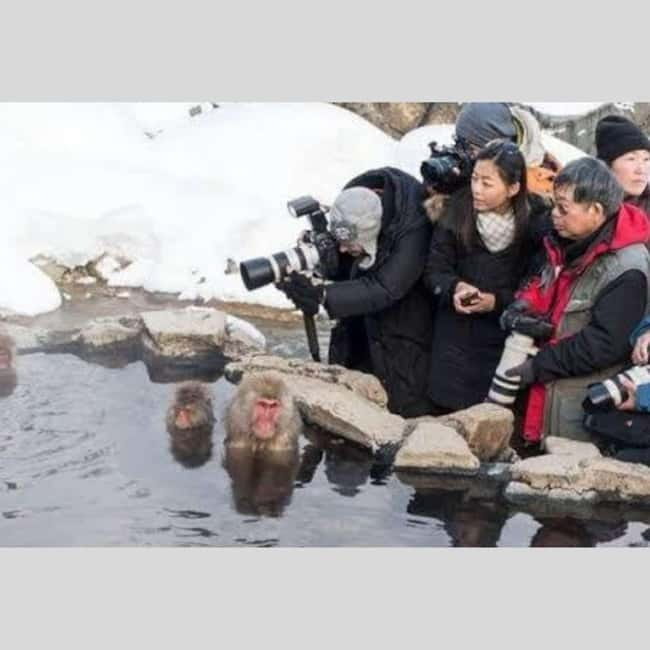 From Tokyo: Snow Monkey Park and Miso Production Day Tour - Shibu Onsen closes the day on a traditional note