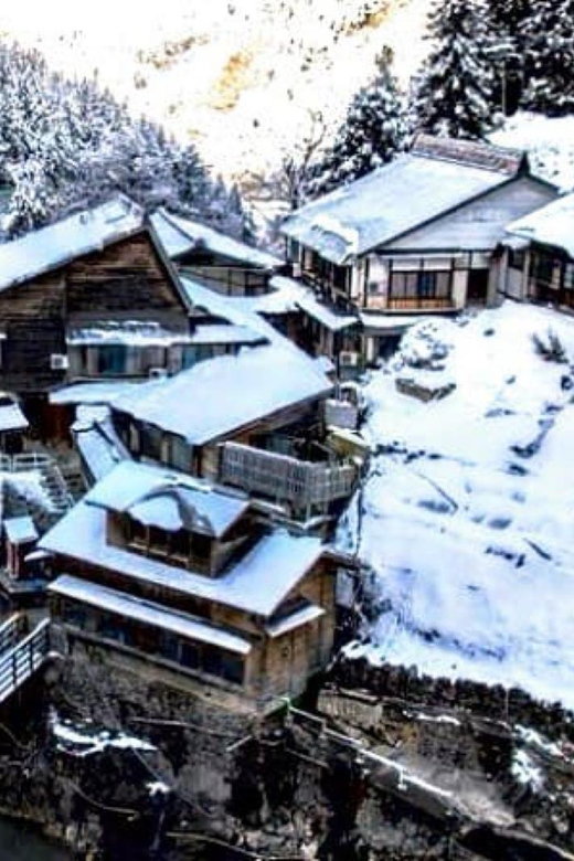 From Tokyo: Snow Monkey Private Customize Day Tour - What the driver can add to your day