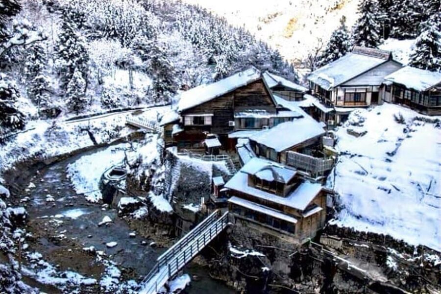 From Tokyo: Snow Monkey Private Customize Day Tour - How I would shape the day