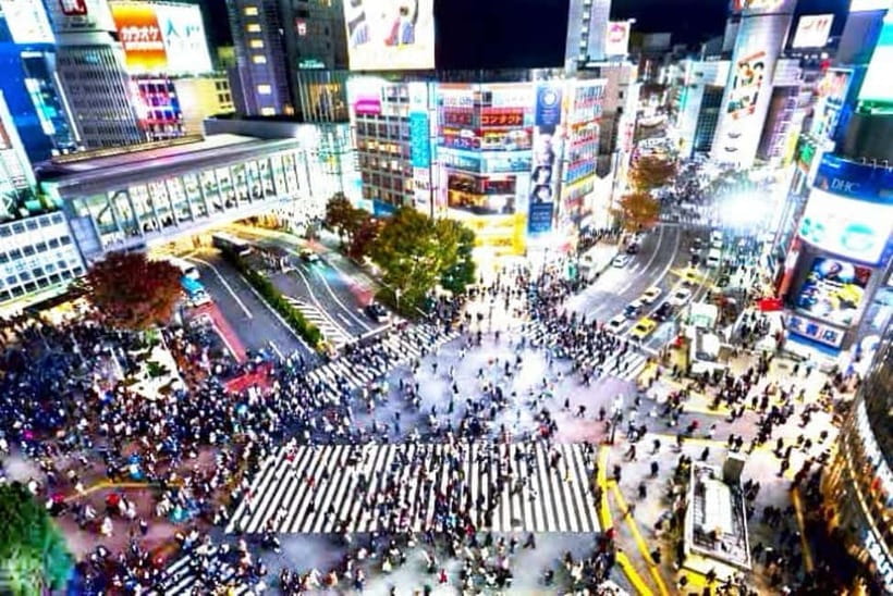 From Tokyo: Tokyo Private Customize Tour With English Driver - Why a private car makes sense in Tokyo