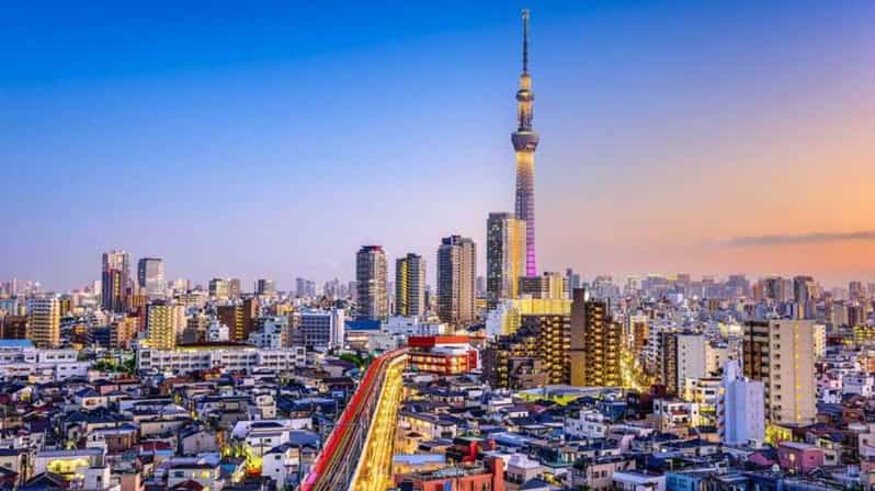 From Tokyo: Tokyo Private Customize Tour With English Driver - Meiji Shrine, forest paths, and a change of pace