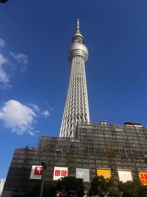 From Tokyo: Tokyo Private Customize Tour With English Driver - Harajuku and Takeshita Street for fashion and people-watching