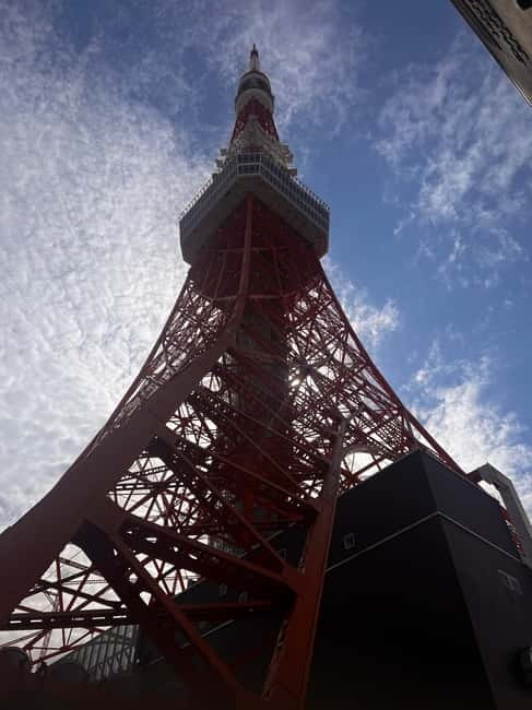 From Tokyo: Tokyo Private Customize Tour With English Driver - What the drivers add to the day