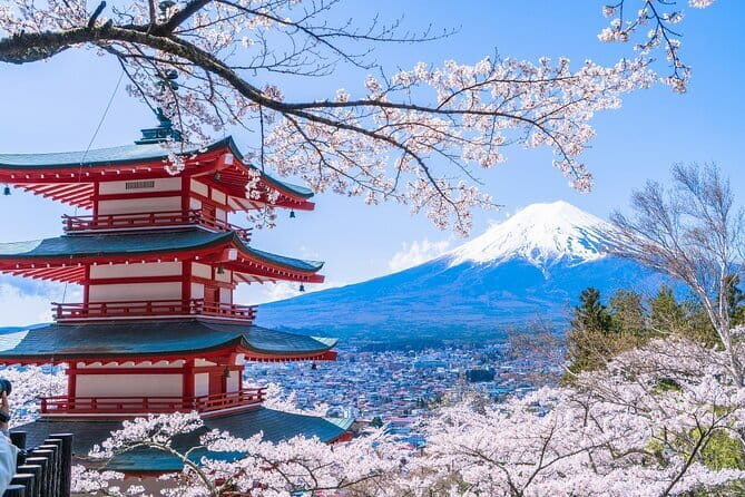 From Tokyo: Top 5 Scenic Spots of Mount Fuji Full-Day Tour - Key points at a glance
