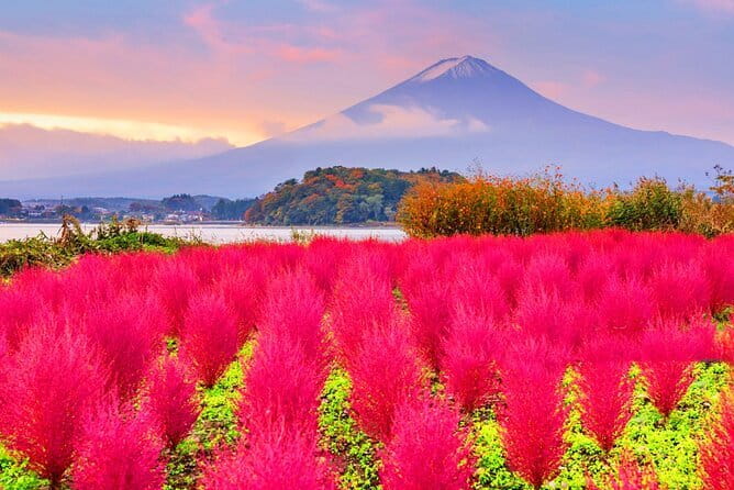 From Tokyo: Top 5 Scenic Spots of Mount Fuji Full-Day Tour - Arakurayama Sengen Park and the classic pagoda view