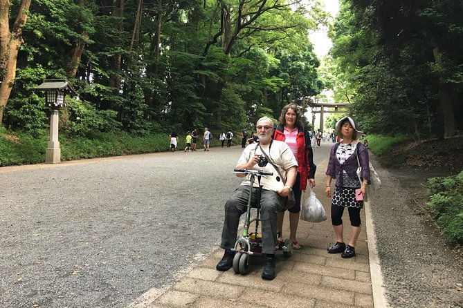 Full-Day Accessible Tour of Tokyo for Wheelchair Users - Shibuya Crossing and Cat Street