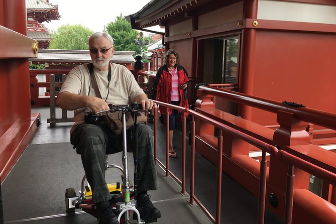 Full-Day Accessible Tour of Tokyo for Wheelchair Users - What the guides add to the day