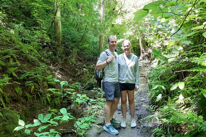 Full Day Hiking Tour at Mt.Takao including Hot Spring - Yakuo-in Temple and Mt. Takao’s sacred side