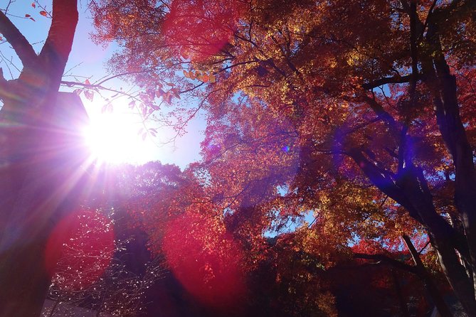 Full Day Hiking Tour at Mt.Takao including Hot Spring - Starting at Takaosanguchi Station