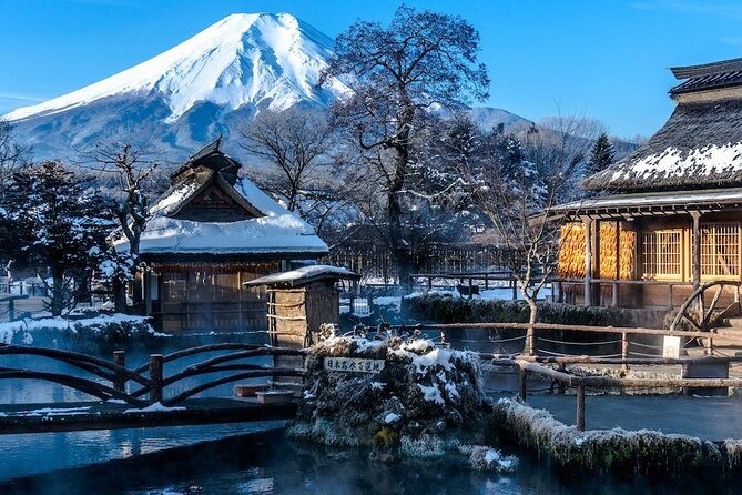 Full Day Private Tour in Mt. Fuji and Hakone - Key points before you book