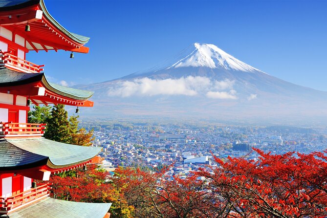 Full Day Private Tour in Mt. Fuji and Hakone - Oshino Hakkai and Fuji spring water