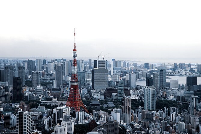 Full-Day Private Tour to Discover The Best of Tokyo - Ameyoko brings the best bargain-shopping contrast
