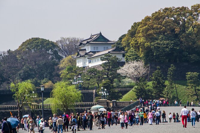 Full Tokyo: Meiji Shrine, Imperial Palace, Asakusa & Skytree - Key points before you book