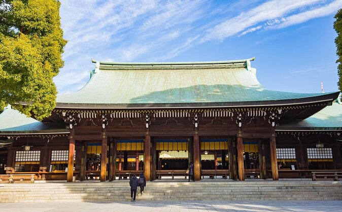 Get Unique Insights into Tokyo - Private Tour with local Guide - Key points to know before booking