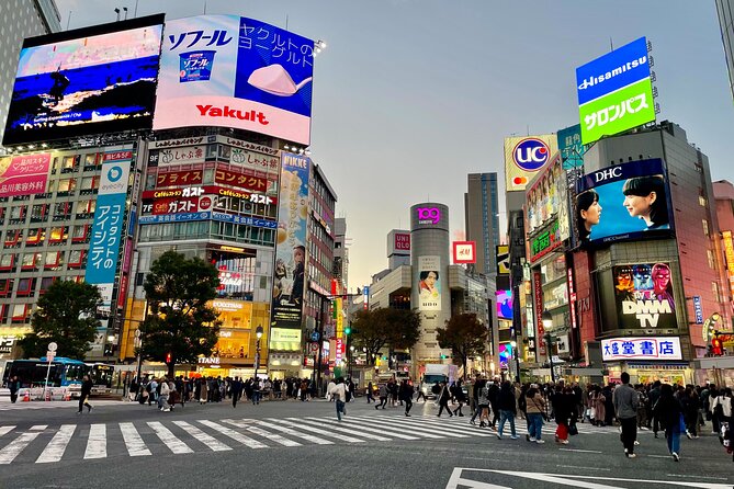 Get Unique Insights into Tokyo - Private Tour with local Guide - Why this tour works well as your first Tokyo outing