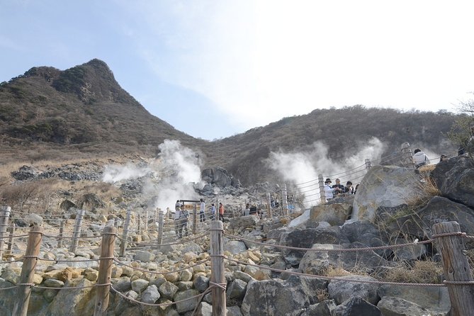 Hakone 6 hour Private Tour with Government-Licensed Guide - Why a private Hakone tour can be worth the money