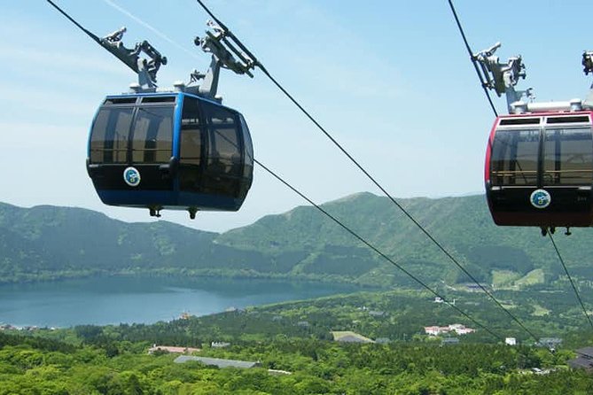 Hakone 6 hour Private Tour with Government-Licensed Guide - Glass, gardens, and unusual museums