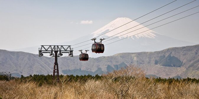 Hakone 8 hour Private Tour with Government-Licensed Guide - Key points to know before booking