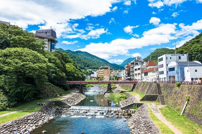 Hakone 8 hour Private Tour with Government-Licensed Guide - Hakone Ropeway and the mountain transport circuit