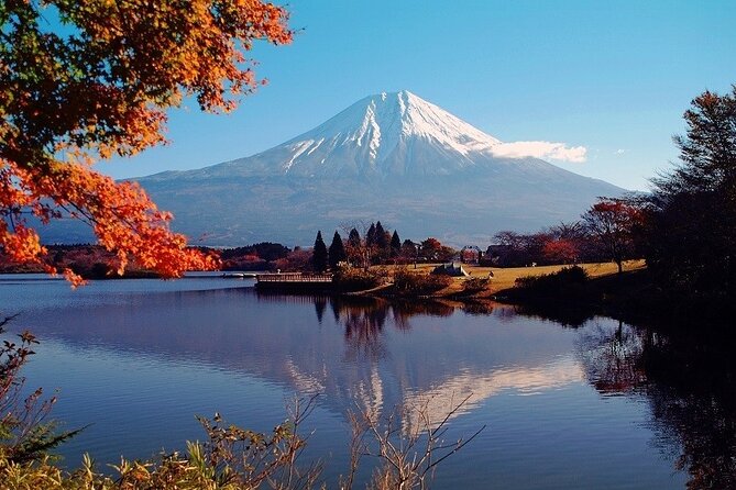 Hakone 8 hour Private Tour with Government-Licensed Guide - What the guides add to the day