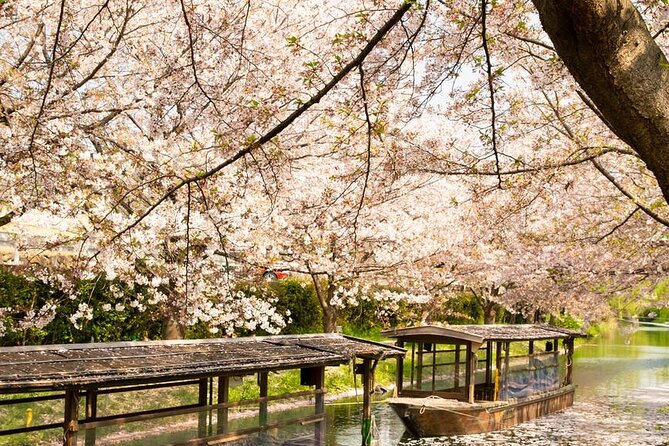 Hakone and Mt. Fuji Day Trip with Private Vehicle - What the private service does well