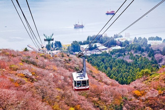 Hakone and Mt Fuji Private Custom Tour with English Guide - Saiko Iyashi no Sato Nemba and the Fuji Five Lakes