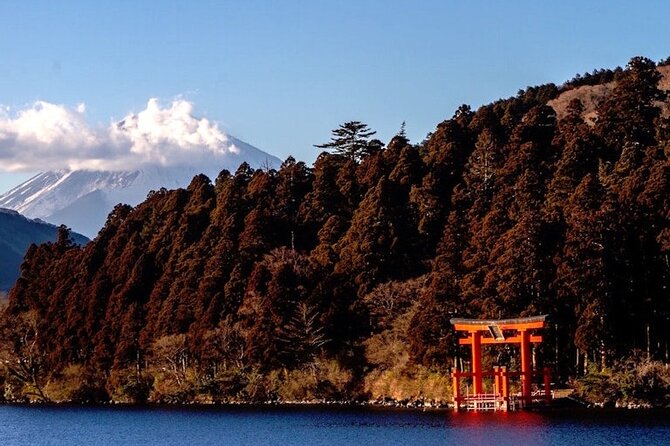 Hakone and Mt Fuji Private Custom Tour with English Guide - Owakudani: sulfur steam and the famous black egg