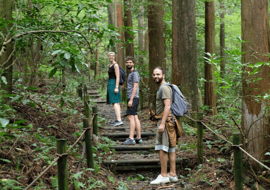 Hakone Hachiri: Old Tokaido Highway Hiking Tour - Walking the road between Edo and Kyoto