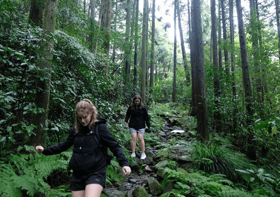 Hakone Hachiri: Old Tokaido Highway Hiking Tour - Crossing Hakone Pass to Yamanaka Castle Ruins