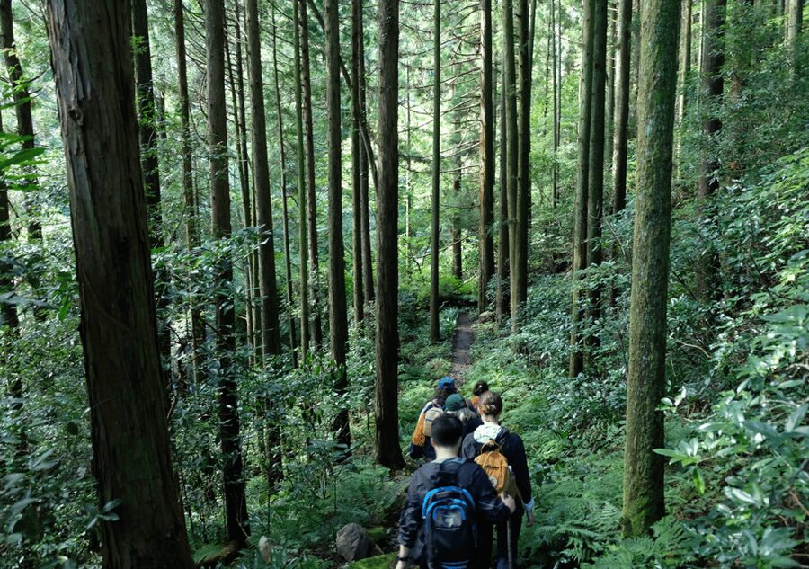 Hakone Hachiri: Old Tokaido Highway Hiking Tour - What the guide adds to the walk