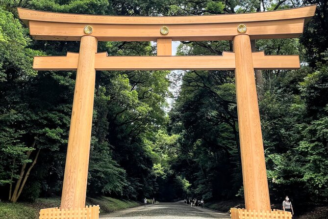 Half Day Sightseeing Tour in Tokyo - Guides, audio, and group management