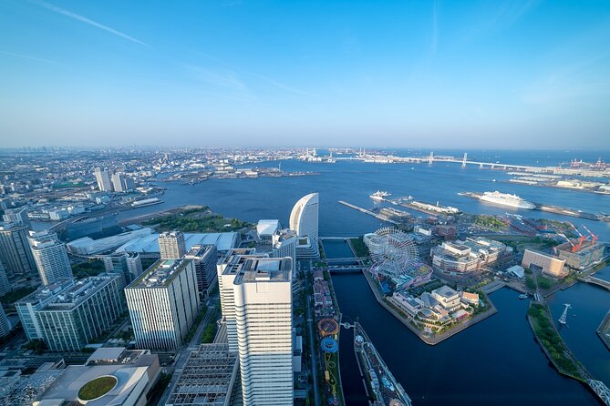 Haneda Airport: One Way Private Transfer to Tokyo|Yokohama Hotels - Driver service: the best part when communication works