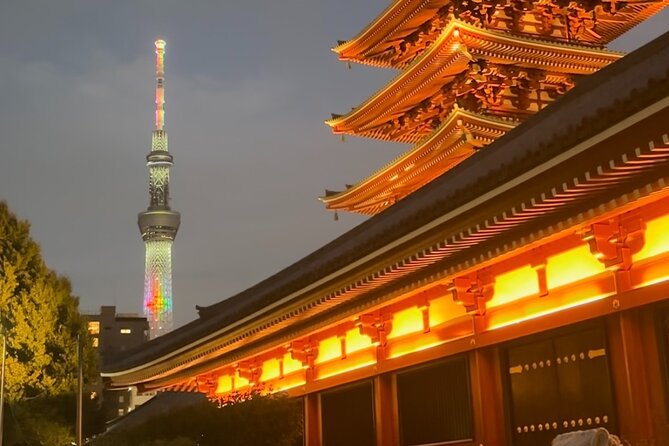 Haneda Airport Private Transfer – Luxury Car & Meet & Greet - The weak spots you should weigh