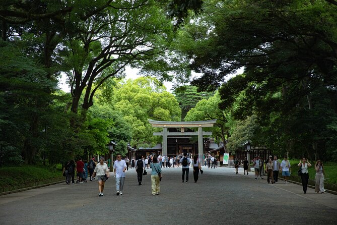 Harajuku Meiji Shrine Walking Tour in Tokyo - Who should book this walk?