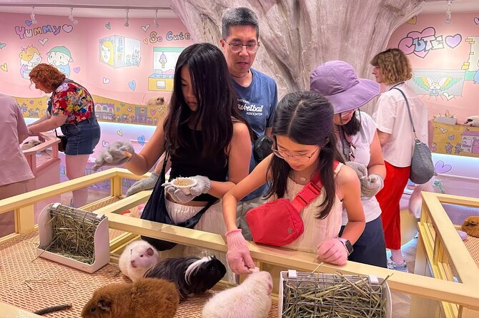 Harajuku Private Tour: Kawaii Fashion & Animal Cafe Included - What the guides add to the experience