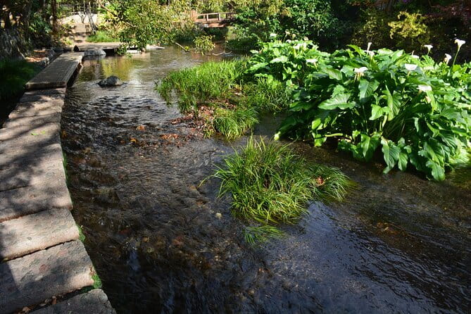 Hike Hakone Hachiri - The five-hour heart of the walk