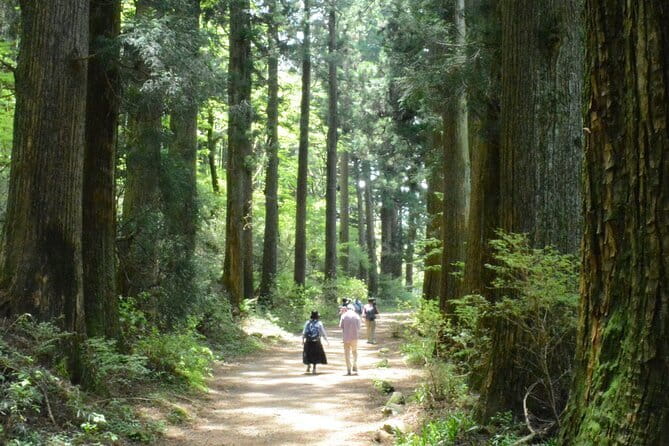 Hike Hakone Hachiri - Amazake Chaya and a 13th-generation family story