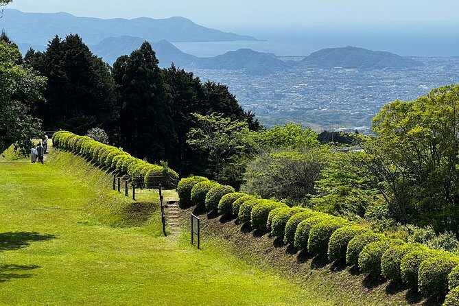 Hike Japan Heritage Hakone Hachiri with certified mountain guide - Hakone Checkpoint and lunch near Hakone-machi