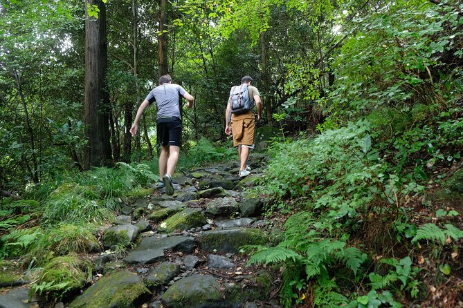 Hike Japan Heritage Hakone Hachiri with certified mountain guide - The bus transfer and the Shizuoka side of Hachiri