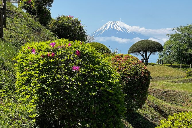 Hike Japan Heritage Hakone Hachiri with certified mountain guide - Yamanaka Castle Ruins and possible Mt Fuji views