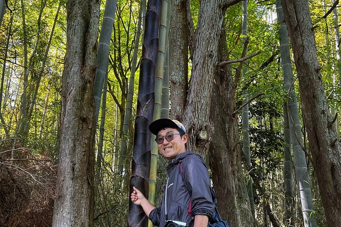 Hike Japan Heritage Hakone Hachiri with certified mountain guide - What the $158.52 price really covers