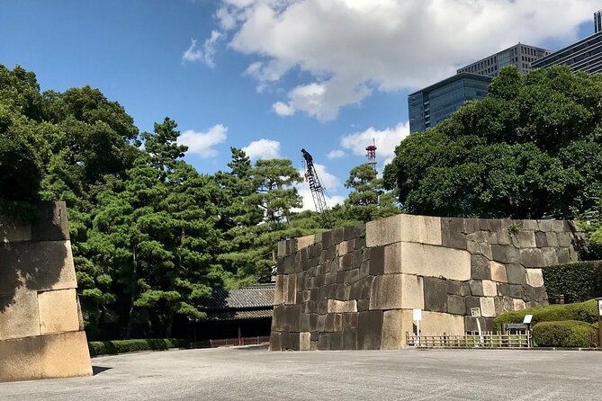 Imperial Palace East Garden and Edo Castle Walking Tour in Tokyo - Why Edo Castle matters in central Tokyo