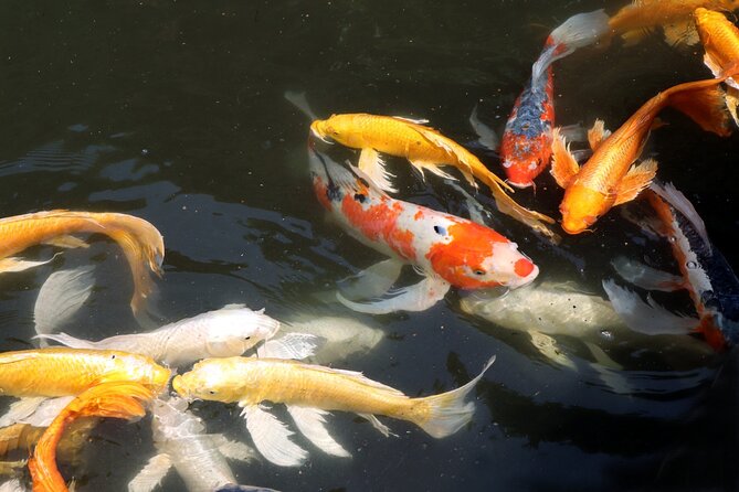 Imperial Palace East Garden and Edo Castle Walking Tour in Tokyo - Walking conditions, weather, and pace